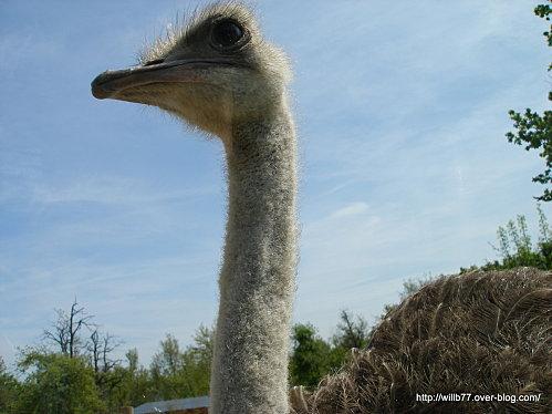 L'art de parler...le besoin d'écouter