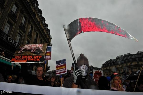 Manifestation des Anti-Fourrure