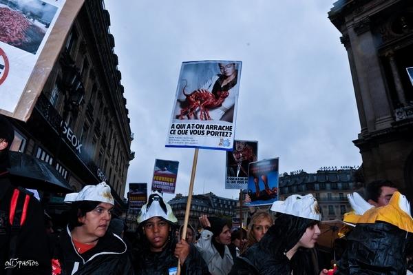 Manifestation des Anti-Fourrure