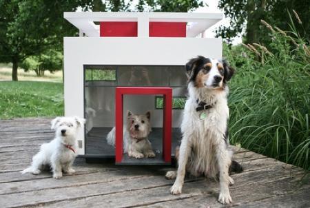 426-Picture 40 426-Picture 40