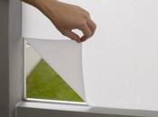 Marre rideaux Baumann