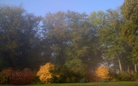 LUMIERE AUTOMNE 2.jpg