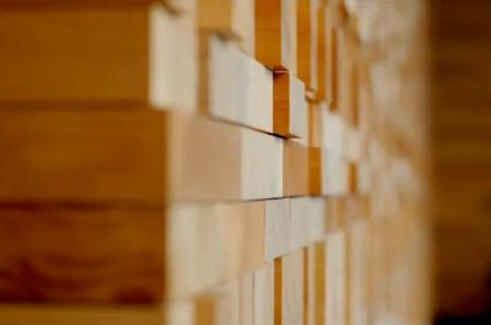 433-wall-wood-vancouver-convention-center-1