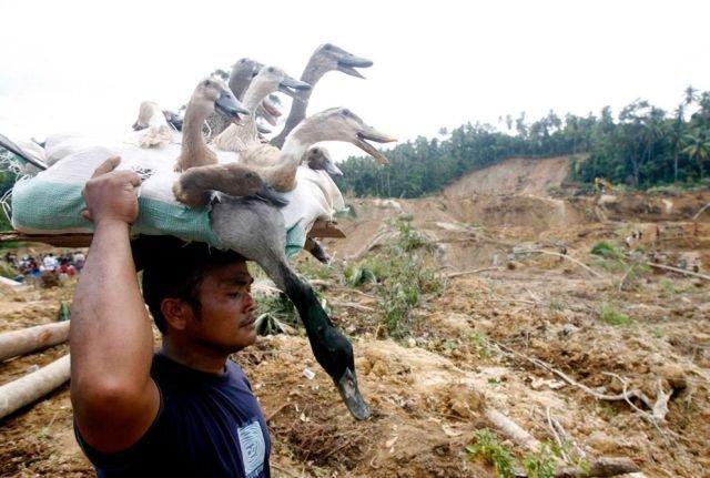 Images insolites (12)