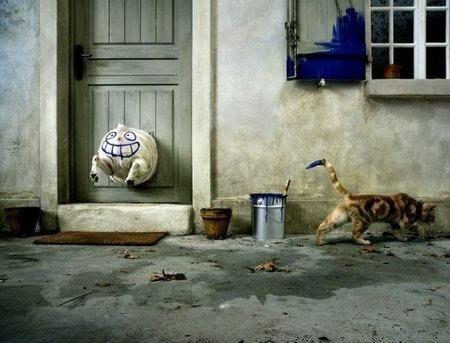 Images insolites (12)