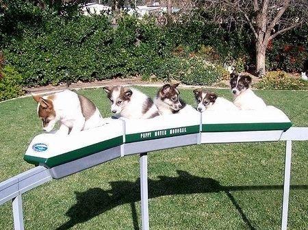 Images insolites (12)