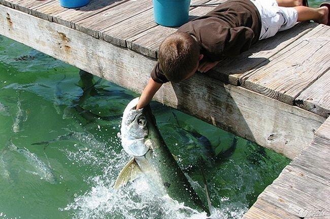 Images insolites (12)