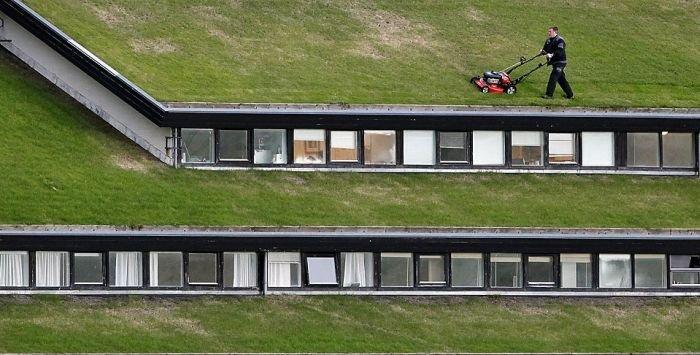 Images insolites (12)