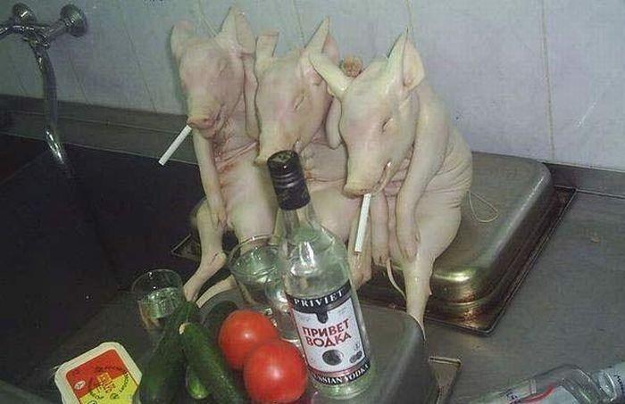 Images insolites (12)