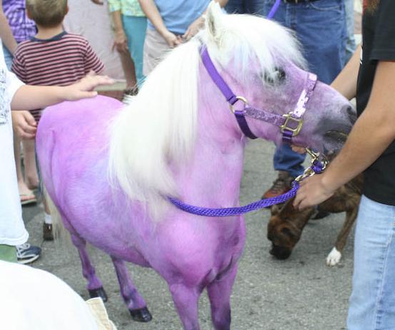 La nature en mauve ...