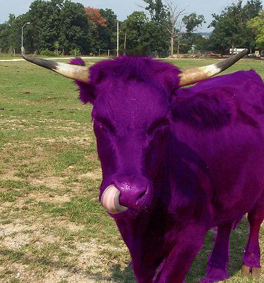 La nature en mauve ...