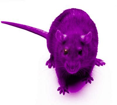 La nature en mauve ...