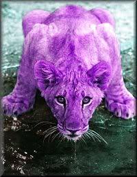 La nature en mauve ...