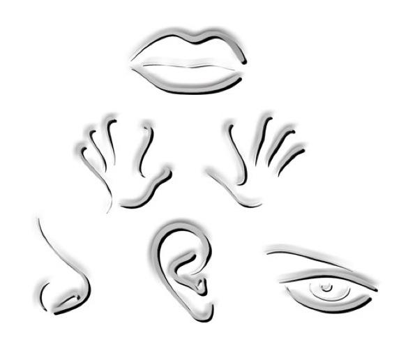 Apprendre, comprendre et intégrer !