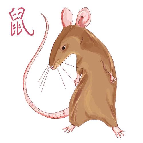 signe zodiac chinois rat