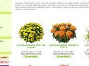 Faire livrer plante tombe pour Toussaint