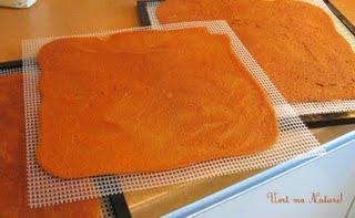 Rouleaux de Fruits Déshydratés Aromatisés aux Huiles Essentielles