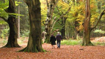 Retrouvailles à Rhede