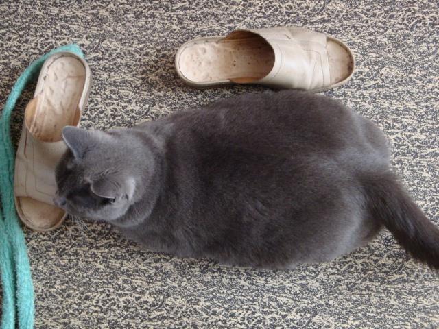 Vie quotidienne à Iriwal :)  (8)