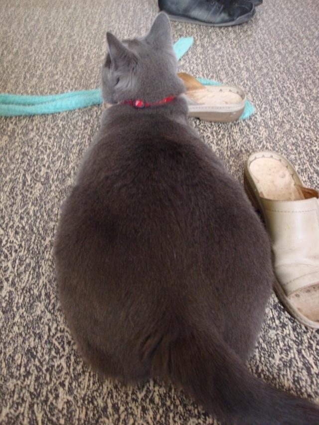 Vie quotidienne à Iriwal :)  (8)