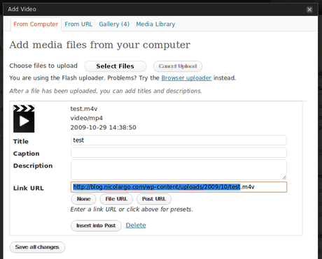 WP Insert Video