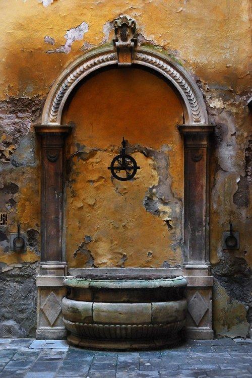  Magnifiques photos (2)