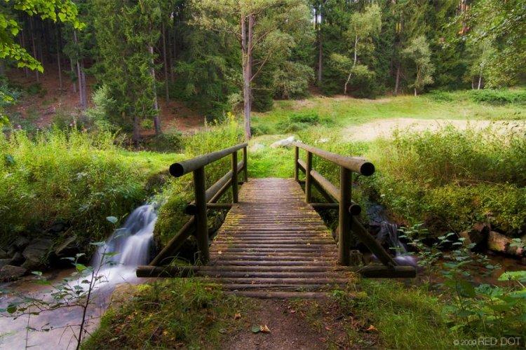  Magnifiques photos (2)