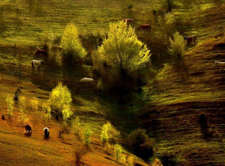  Magnifiques photos (2)