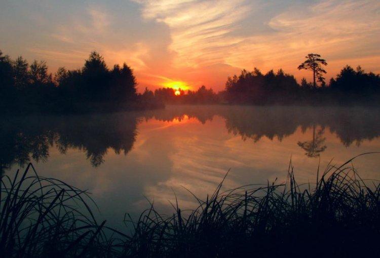  Magnifiques photos (2)