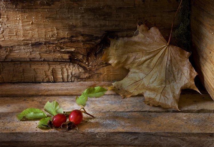  Magnifiques photos (2)