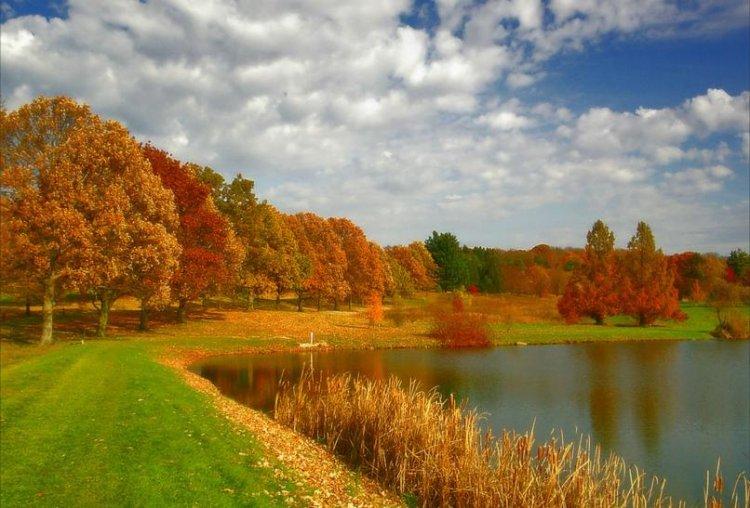  Magnifiques photos (2)