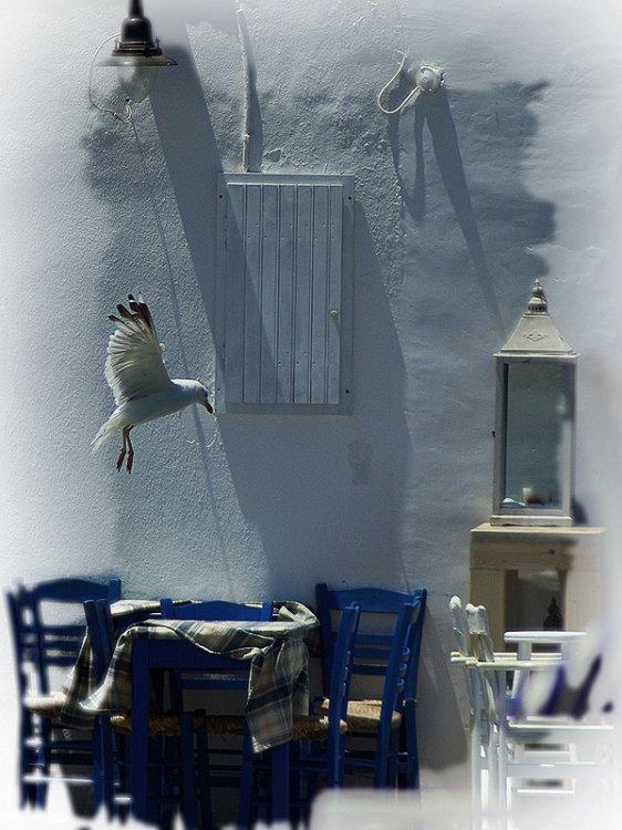  Magnifiques photos (2)