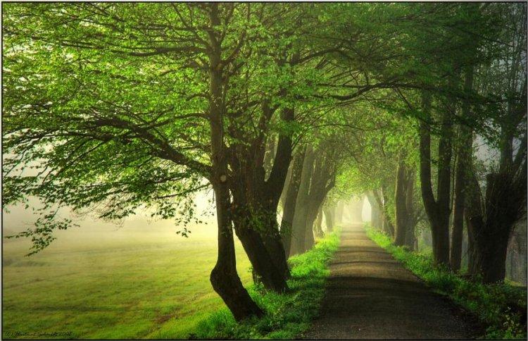  Magnifiques photos (2)