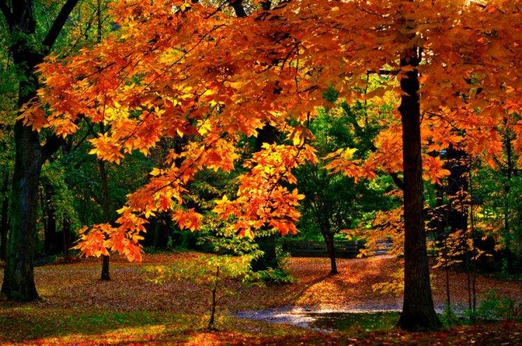  Magnifiques photos (2)