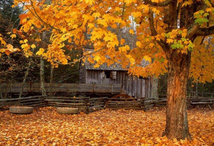  Magnifiques photos (2)