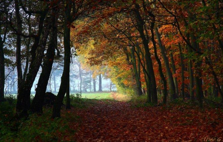  Magnifiques photos (2)