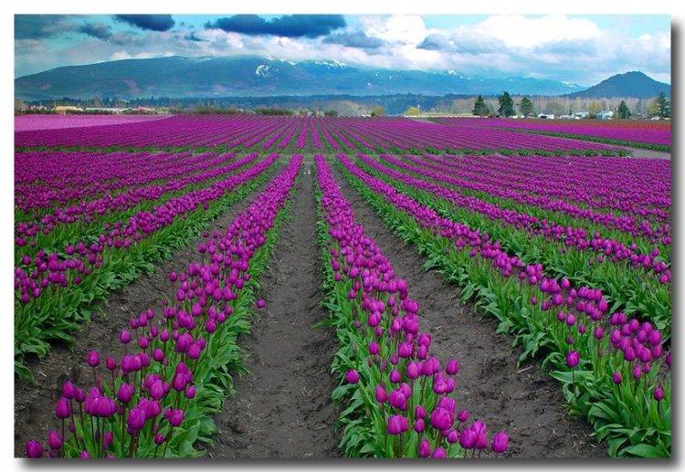  Magnifiques photos (2)