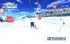 Mario et Sonic aux jeux olympiques d'hiver (Wii)