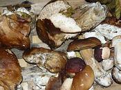 °°°quelle belle cueillette !!!°°°