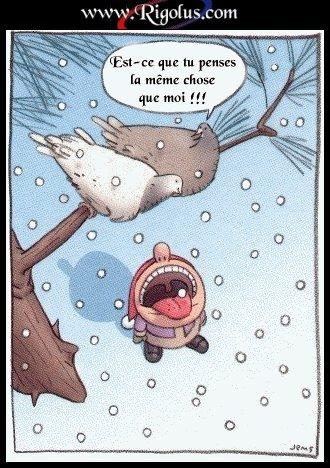 Pour finir octobre dans la joie !