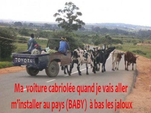 voitures à 6 boeufs