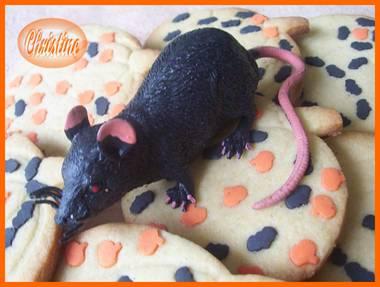 ~~ (ci) Trouille garantie