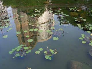 Kaléidoscope tropical