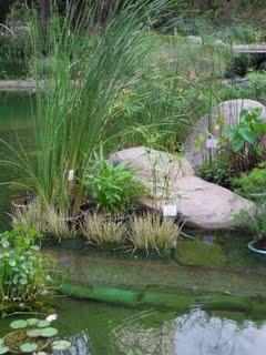 Kaléidoscope tropical