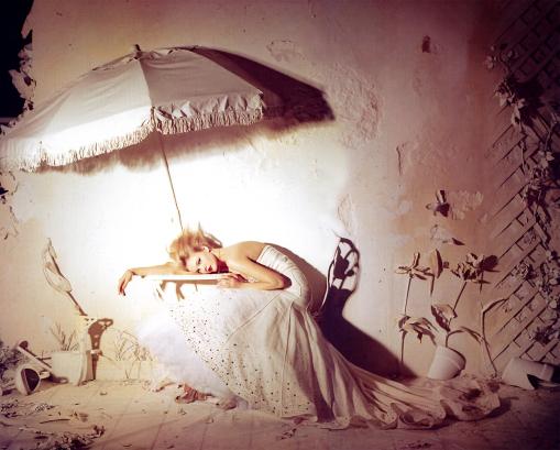 le monde magique de tim walker