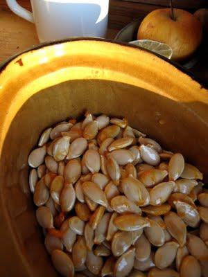 Graines de potimarron