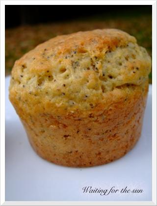 ≈ MUFFINS PAVOT GINGEMBRE CITRON pour LE MM#18 ≈