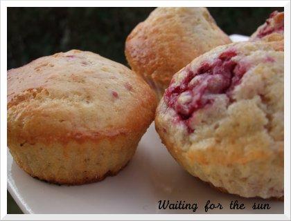 ≈ MUFFINS PAVOT GINGEMBRE CITRON pour LE MM#18 ≈