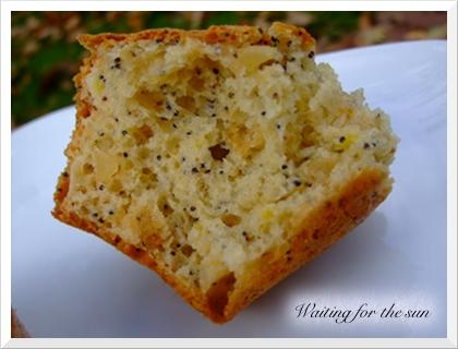 ≈ MUFFINS PAVOT GINGEMBRE CITRON pour LE MM#18 ≈