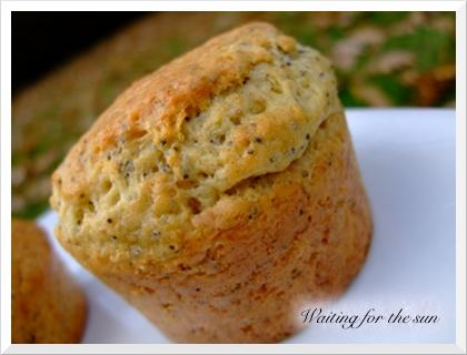 ≈ MUFFINS PAVOT GINGEMBRE CITRON pour LE MM#18 ≈